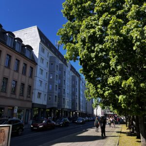 IMG_6646